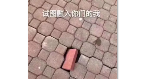 零成本比较奇葩的两个的薅羊毛赚钱项目