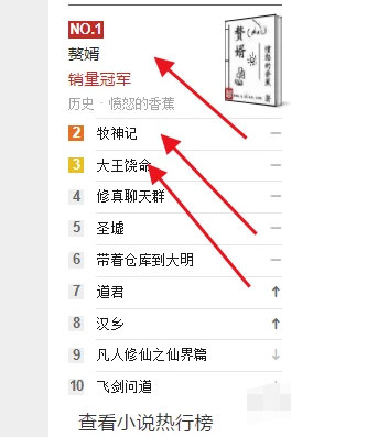 捞薅羊毛利用网络小说引流吸粉变现月入过万