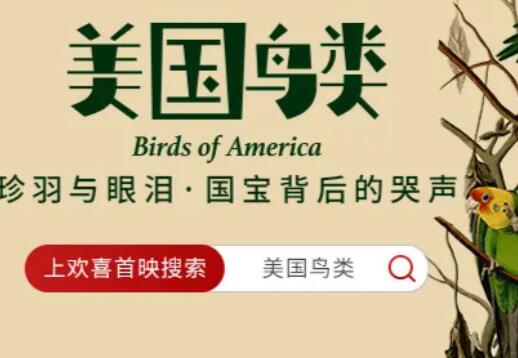 标题：《美国鸟类》2024年2月在欢喜首映上线：探索历史、生态与人性的交响曲