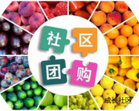 县城稳赚不赔月赚两三万的薅羊毛工作